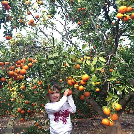 Вилла Hayahay With Private Pool & Amazing View Кальпе